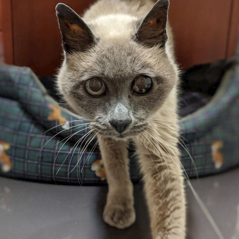 19. 17 godina, a i dalje izgleda mladoliko.😁