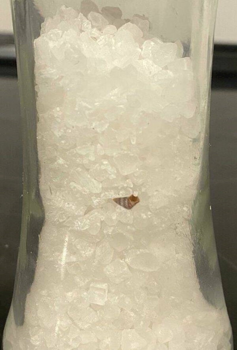 11. Pronašla sam školjkicu u morskoj soli