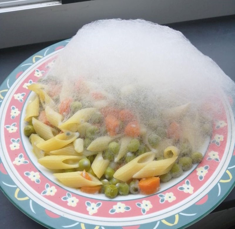 10. Ovo nije paučina, samo dobra stara plijesan