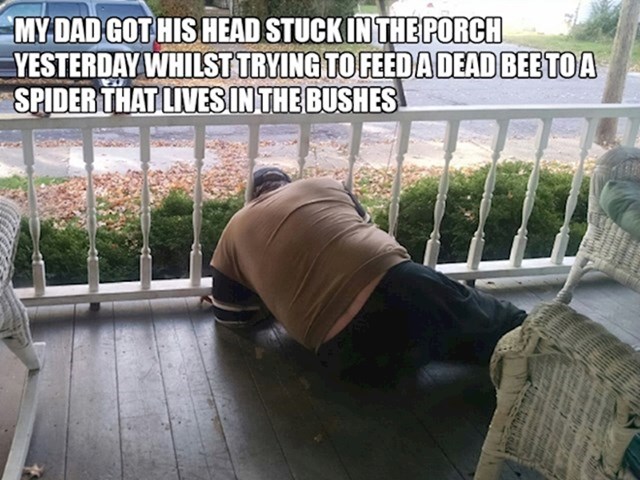 Moj tata zaglavio je glavu u ogradi kad je pokušavao nahraniti pauka koji živi u grmlju mrtvom pčelom.