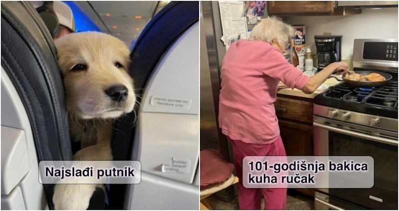 15 fotki koje su slađe od šećera