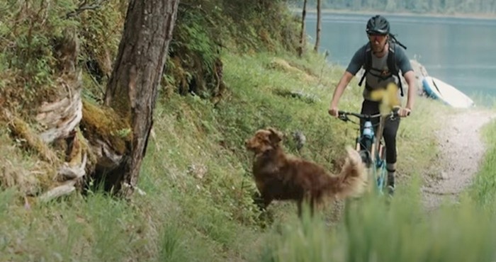 VIDEO Biciklist i njegov vjerni pas koji ne propušta niti jednu avanturu