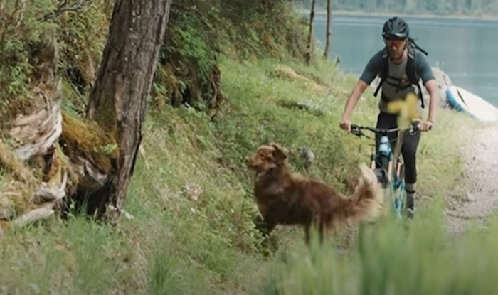 VIDEO Biciklist i njegov vjerni pas koji ne propušta niti jednu avanturu