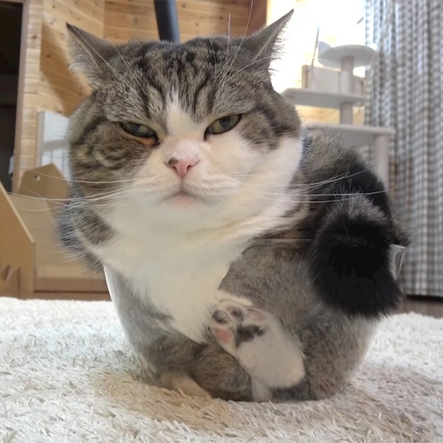 5.