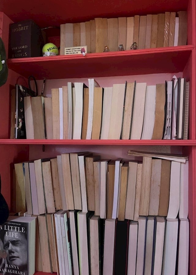 5. "Moja sestra odlučila je reorganizirati moju policu s knjigama. Boli me mozak dok gledam ovo!!"
