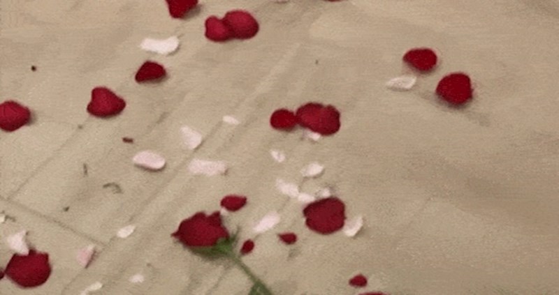 Tip je pripremio romantičnu kupku, nećete vjerovati kad vidite za koga