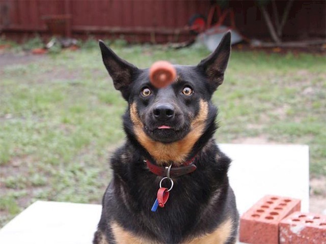 15.