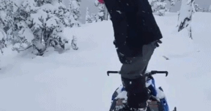 Lik je skočio u duboki snijeg, ono što se dogodilo vjerojatno niste očekivali