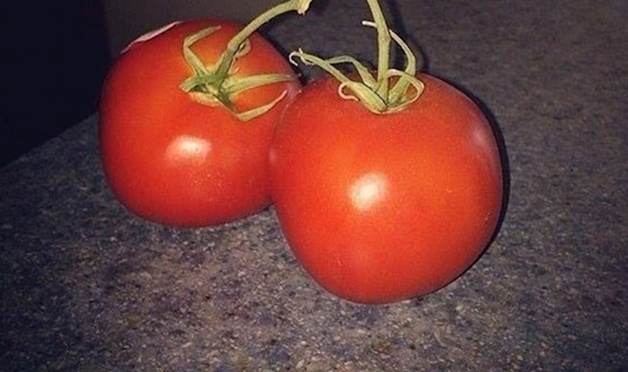 Priroda je čudo, ovako neobično spojene rajčice još niste vidjeli