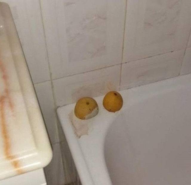 1. Evo kako reći "moja obitelj je čudna" bez da to kažeš...