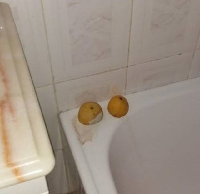 1. Evo kako reći "moja obitelj je čudna" bez da to kažeš...