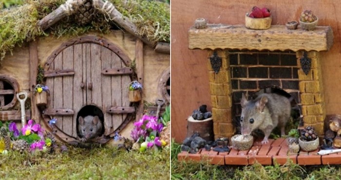 Čovjek je miševima koji su mu se nastanili u vrtu izgradio dom kao iz bajke i raznježio internet