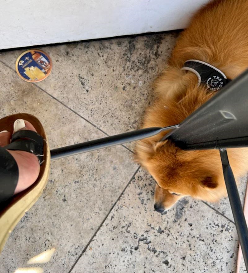 11. Djeluje kao da se dogodilo nešto strašno...😧