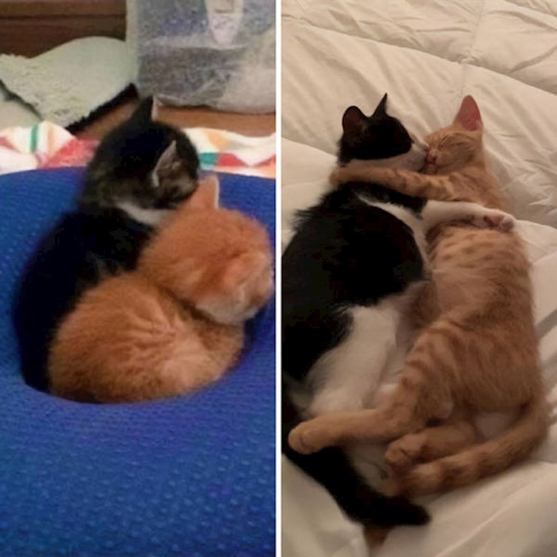 6. Malo su narasli, ali je i narasla i njihova ljubav❤️