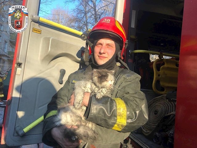 4. Ovaj vatrogasac spasio je život petero ljudi. I ovoj mački. :)