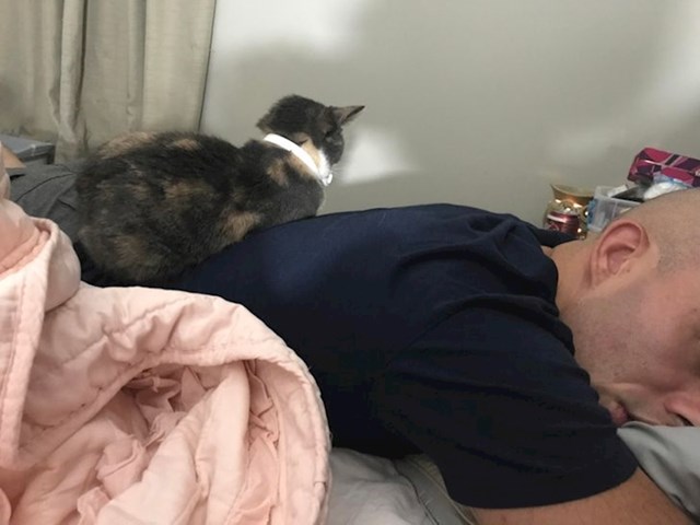 9. "Nema šanse da moja mačka zaspe ako nije u blizini mojeg muža!"