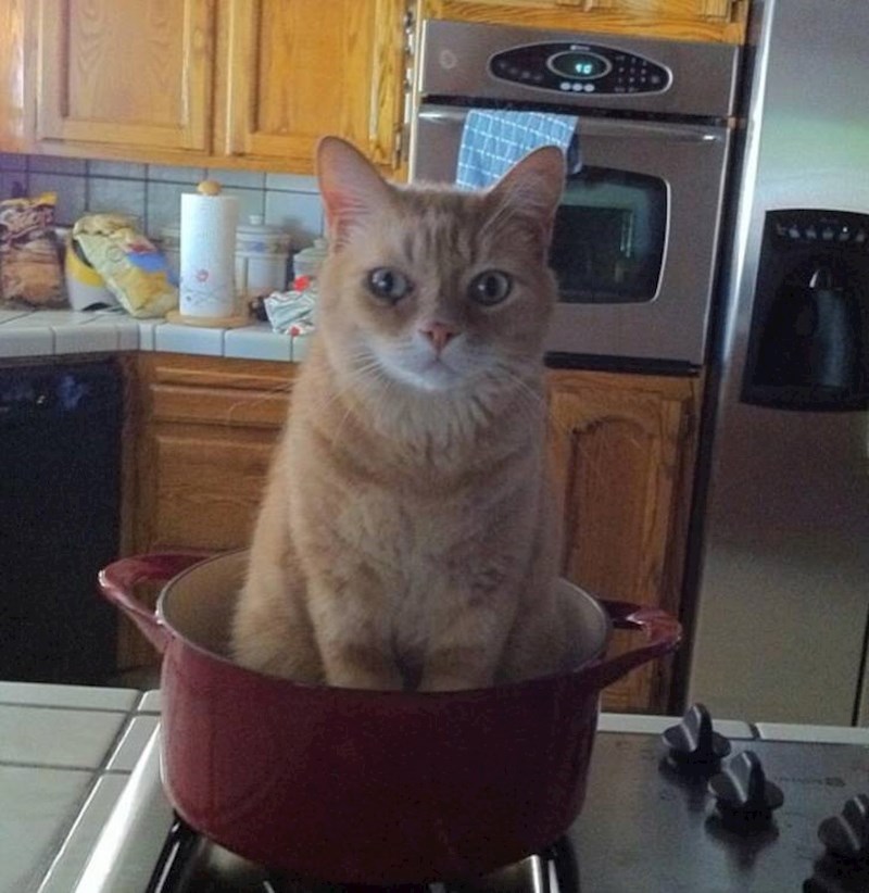 3. "Uvijek mi sjedne baš u čiste zdjele!"