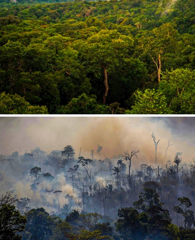 12. Požari bijesne diljem svijeta i uništavaju šume, ovo se dogodilo Amazoniji.