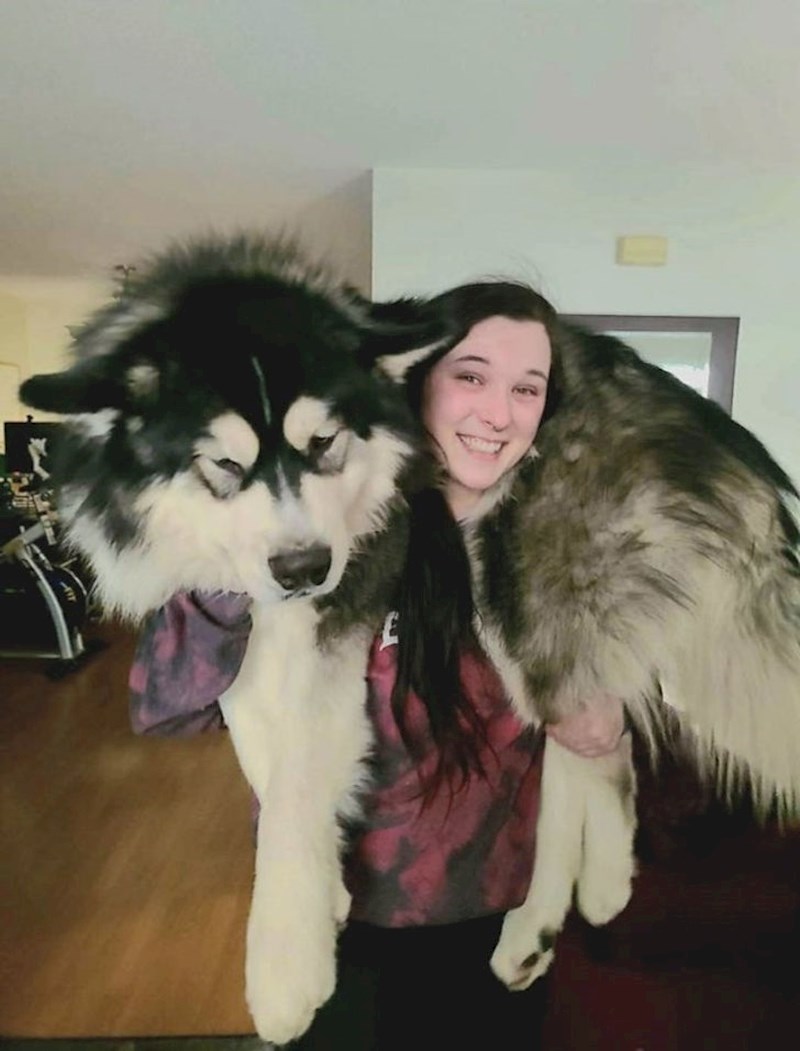 15. Ono kad narasteš, ali si još mala beba u duši...