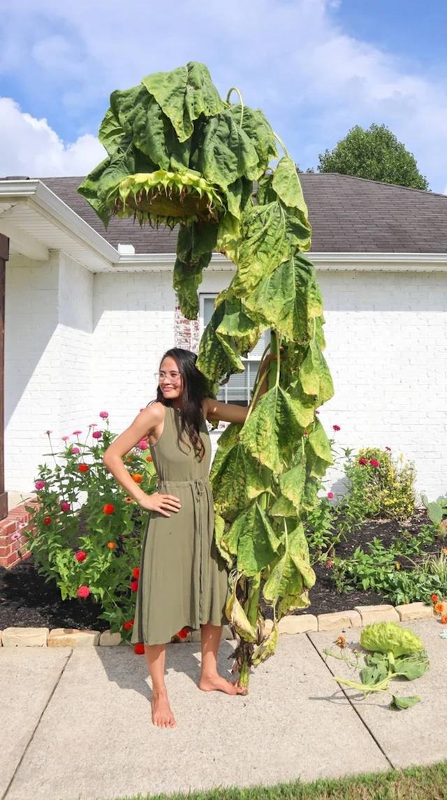 16.
