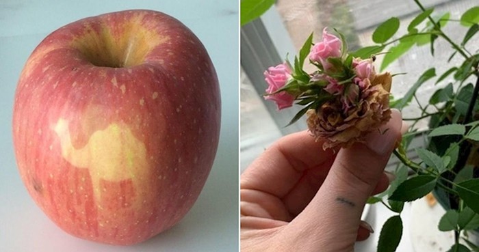 15 puta kad nas je priroda iznenadila svojim kreacijama