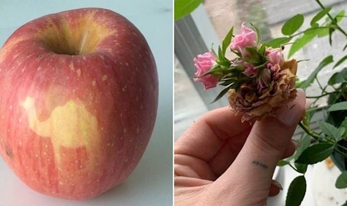 15 puta kad nas je priroda iznenadila svojim kreacijama
