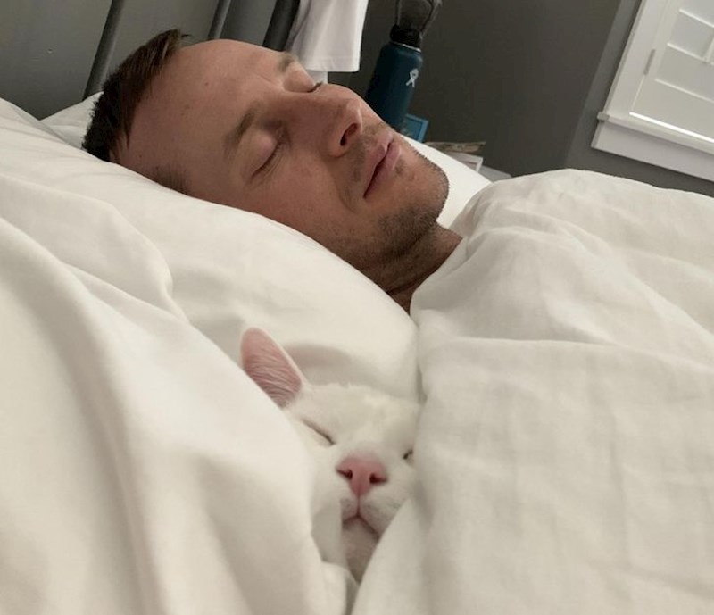 14. "Draga, mačka nikad neće stati između nas." Da, malo sutra.🤣