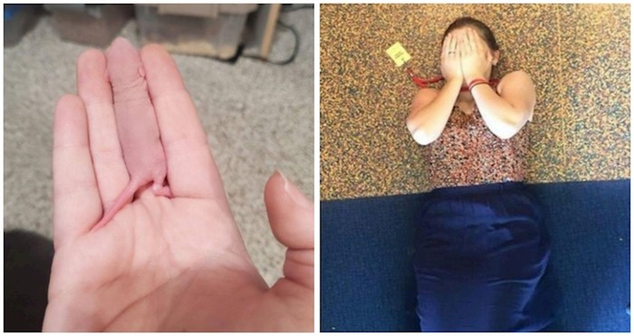 17 puta kad se kamuflaža dogodila igrom slučaja i totalno nas oduševila