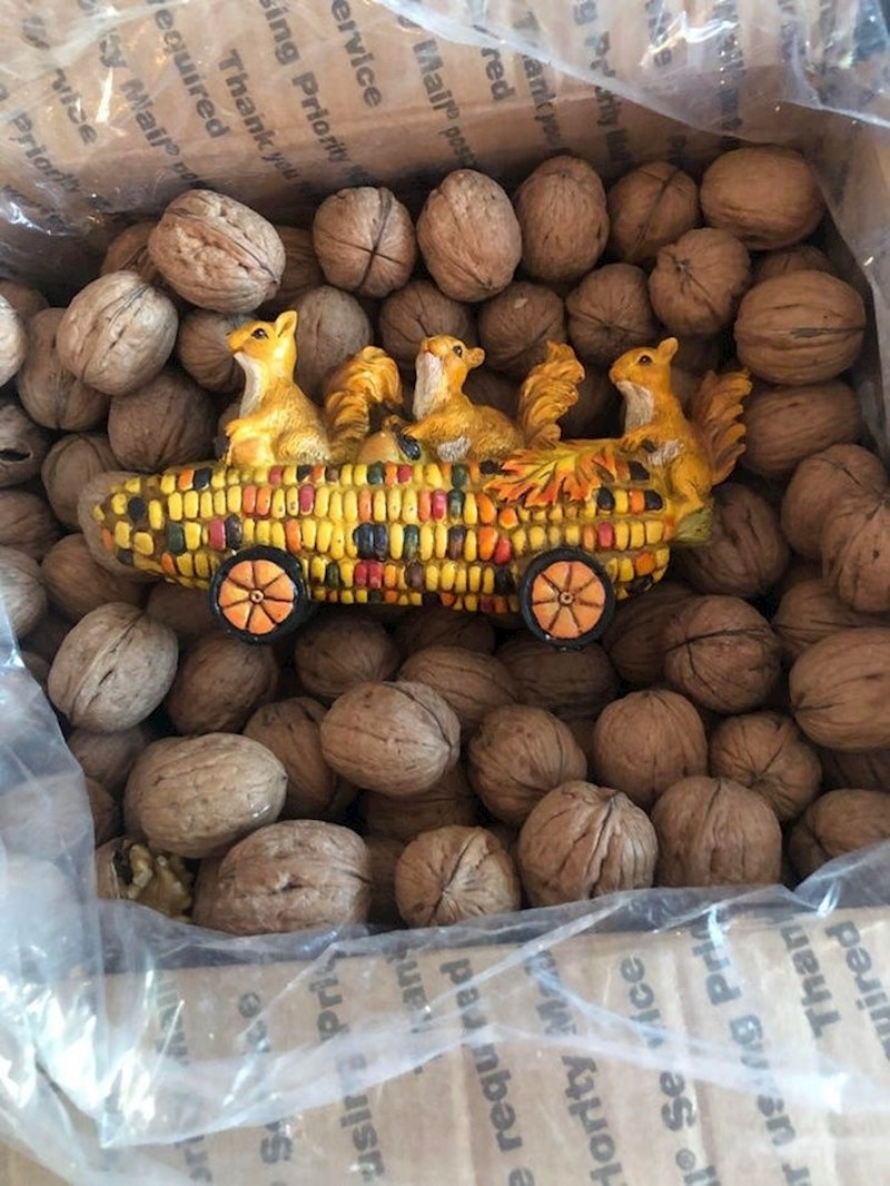 "Moj tata vozio je do drugog grada da bi nabavio ovu blesavu igračku."