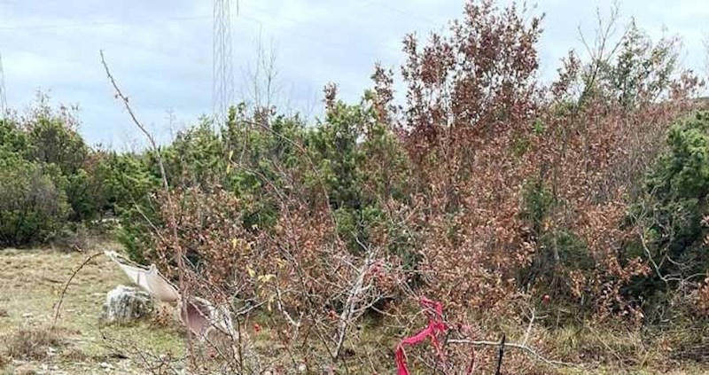 Netko je negdje u Dalmaciji tijekom šetnje primijetio jako čudan prizor, fotka je hit na Fejsu