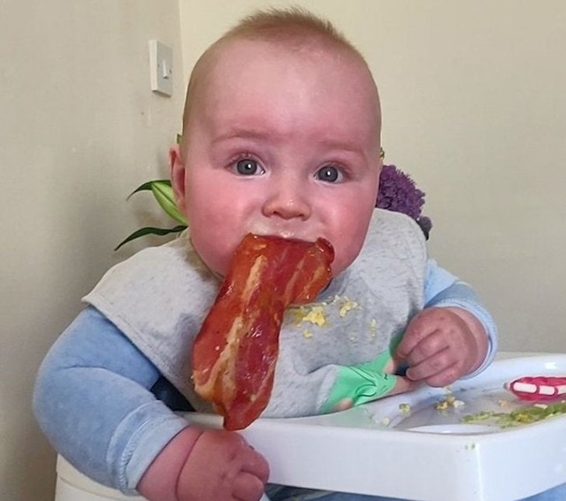 11. Probao je slaninu prvi put u životu. Zbunjenost se, dakako, pretvorila u oduševljenje