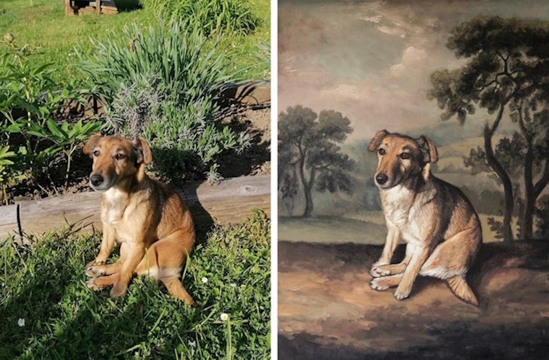 13. Naslikala je svojeg psa u njegovoj čudnoj pozi