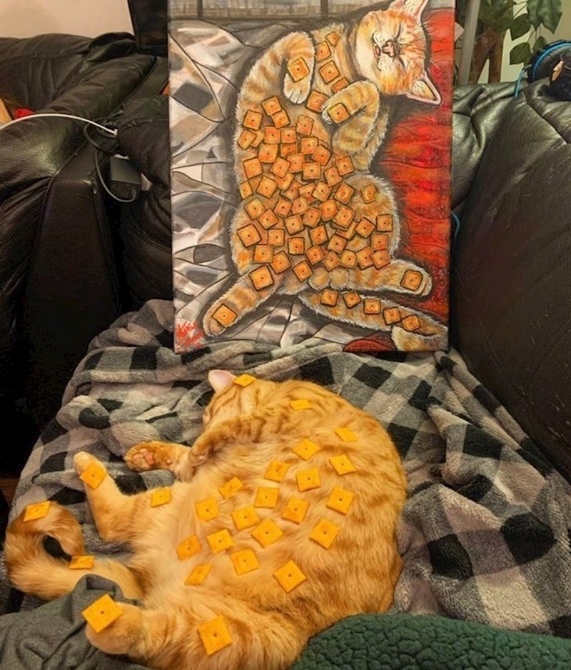 14. Njezina mačka joj je glavna inspiracija