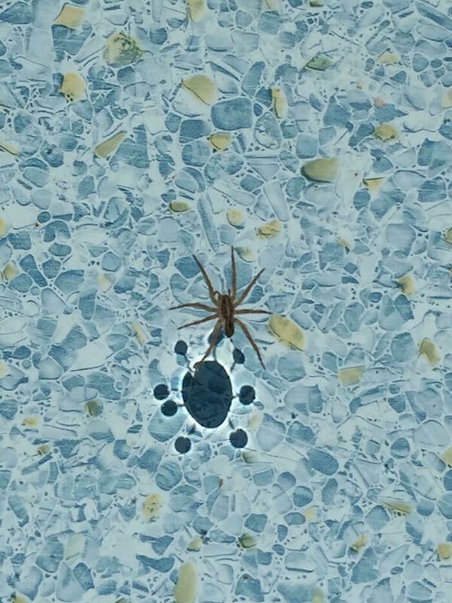 1.