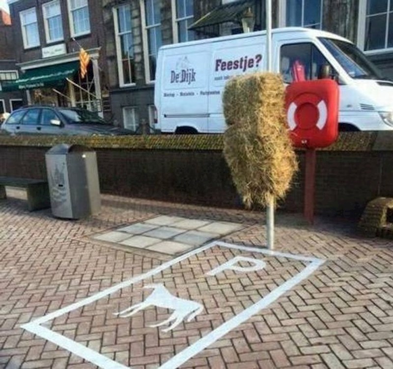 13. Parking za konja usred grada