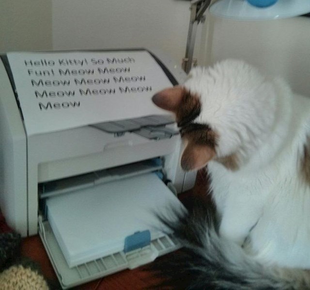 20. "Moju mačku fascinira printer. Obožava ga promatrati dok radi. Zato joj preko dana, dok sam na poslu, šaljem poruke."😆