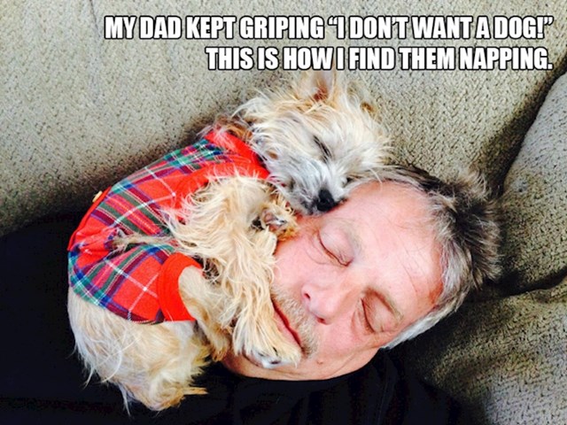 9. "Moj tata stalno je vikao da ne želi psa. Našla sam ih da ovako spavaju..."