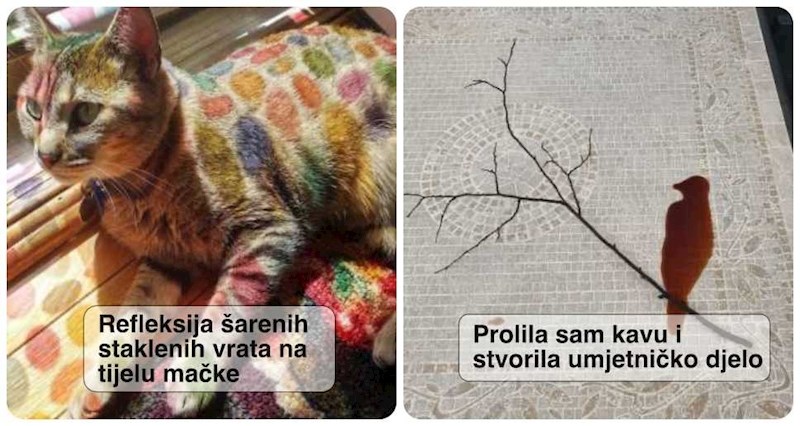 19 puta kad su ljudi pukim slučajem stvorili jedinstvene prizore