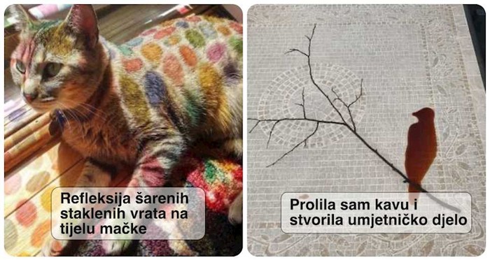 19 puta kad su ljudi pukim slučajem stvorili jedinstvene prizore