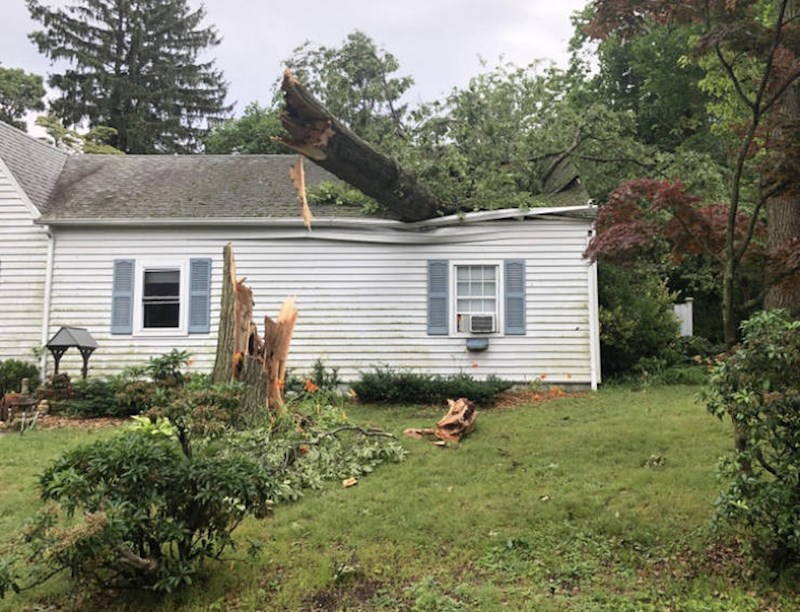 12. "Ranije danas susjed mi je dojavio da mi je stablo palo na kuću. Sve do sad nadao sam se da se šali..."