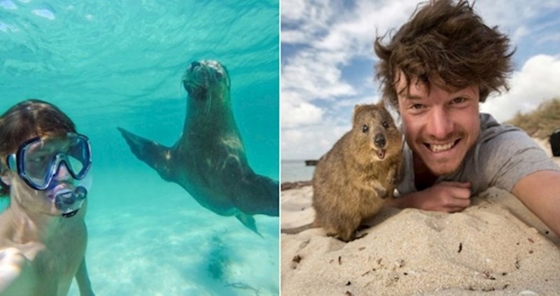 Tip se sprijatelji sa svakom životinjom koju upozna, rezultat je ova genijalna zbirka fotki