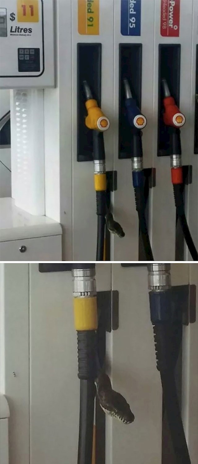 8. Običan dan na benzinskoj pumpi...