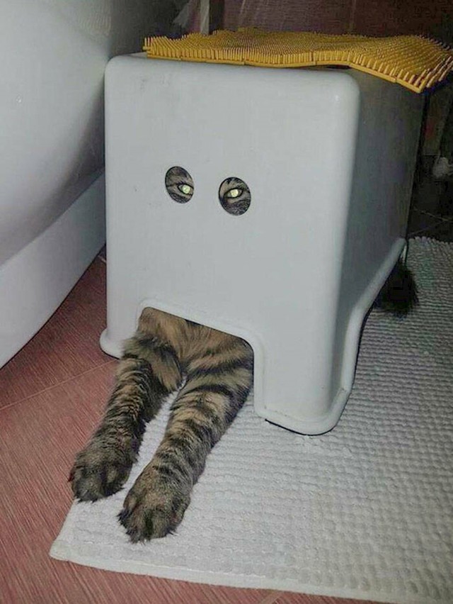7.