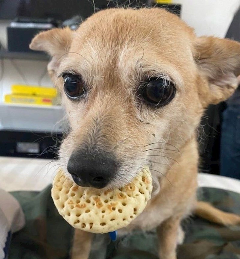 Ukrao je palačinku.