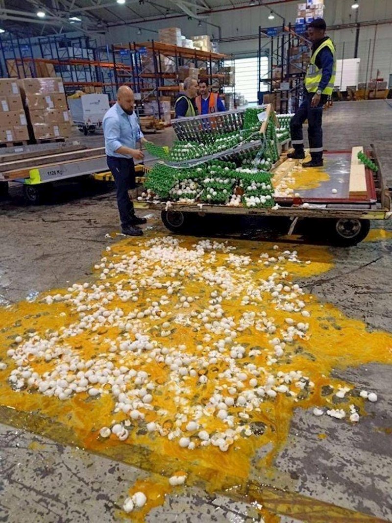 ...razbila su im se sva jaja.