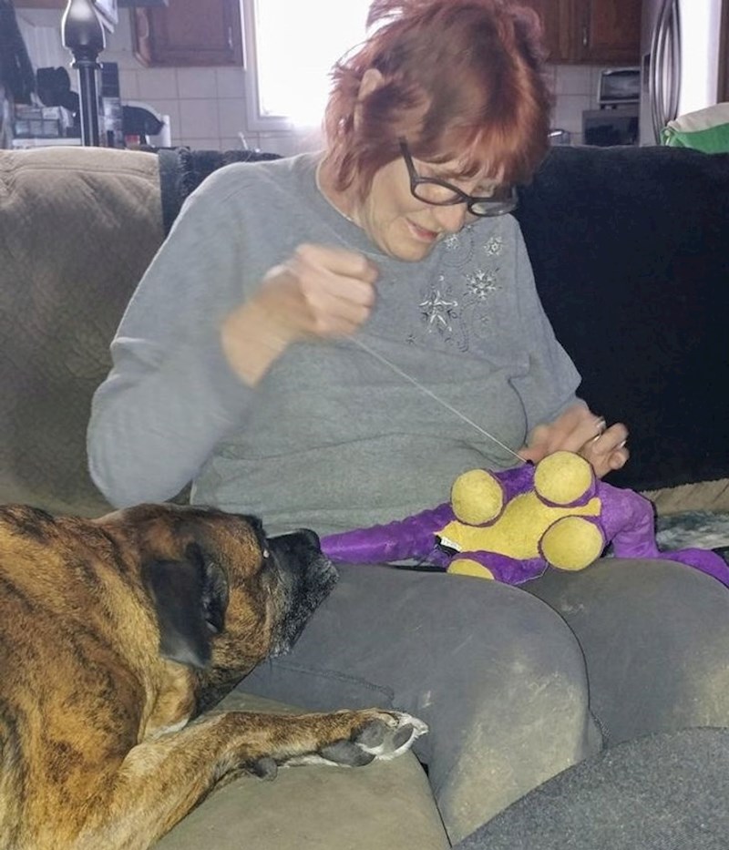 1. Peso strpljivo čeka da mu vlasnica popravi igračku