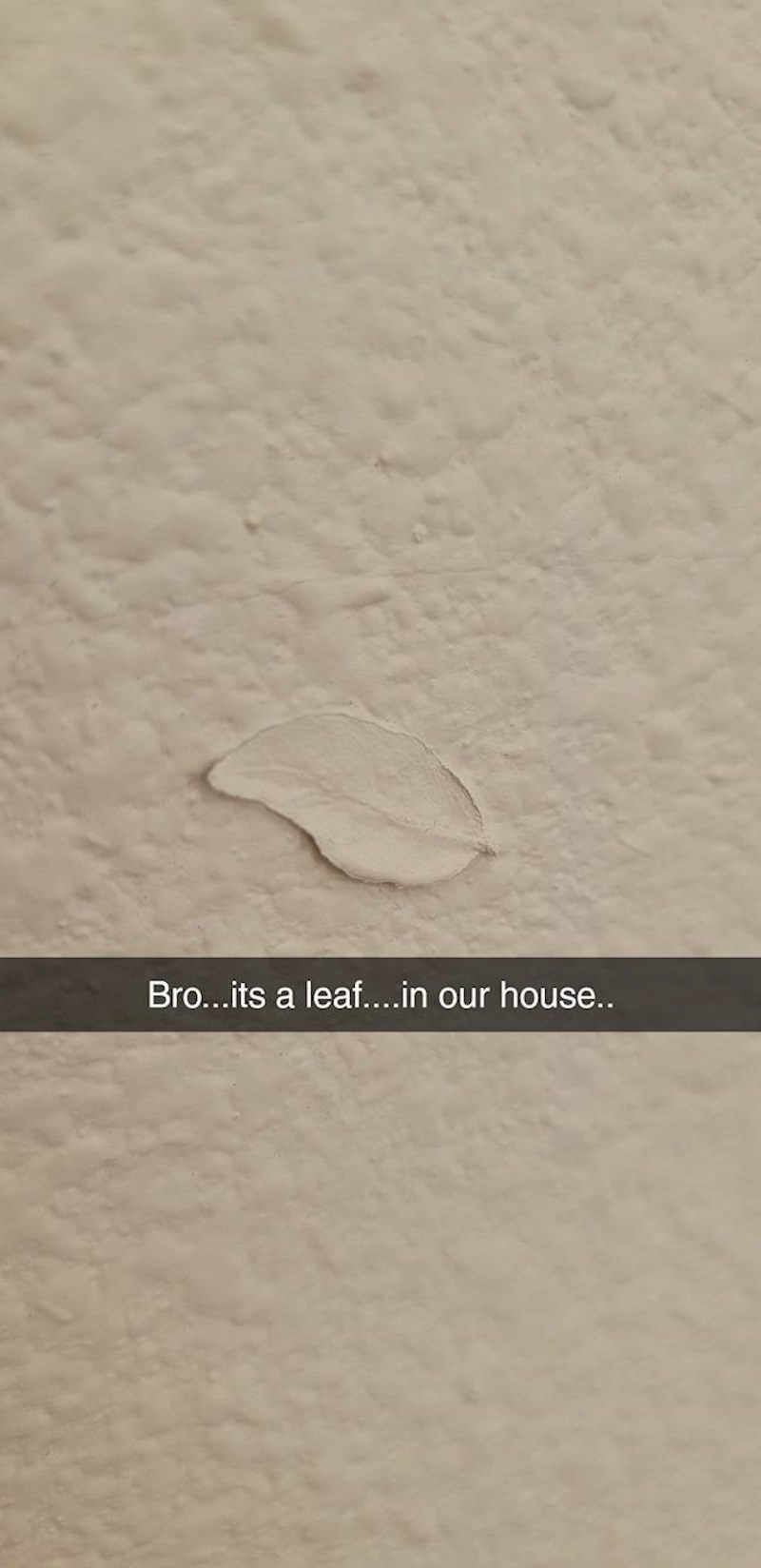 5. List na nečijem zidu