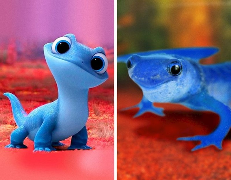 9. Bruni (Frozen II)