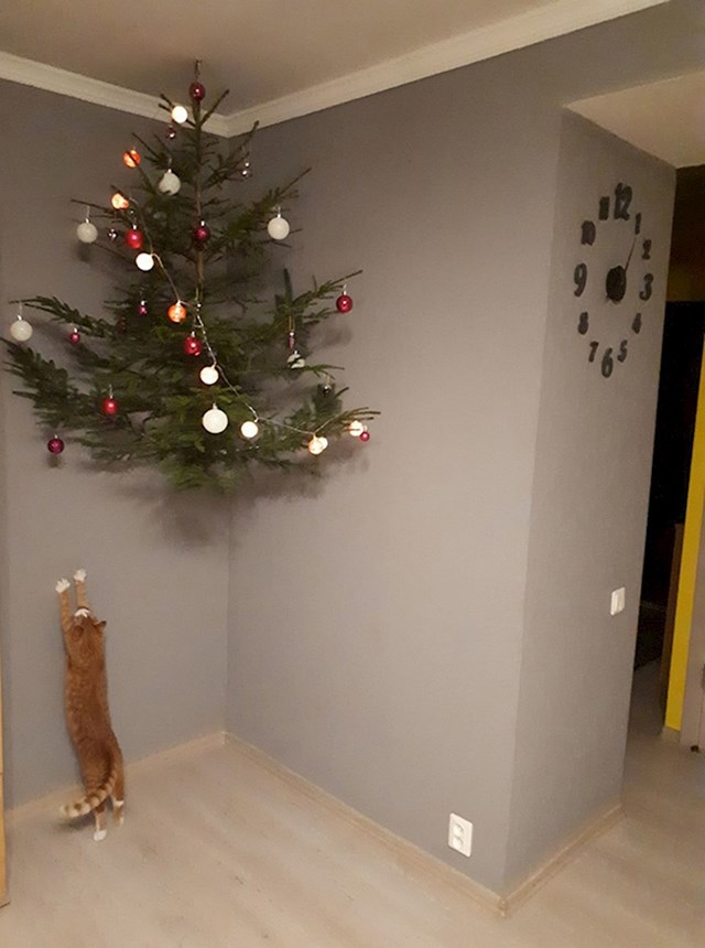 19.
