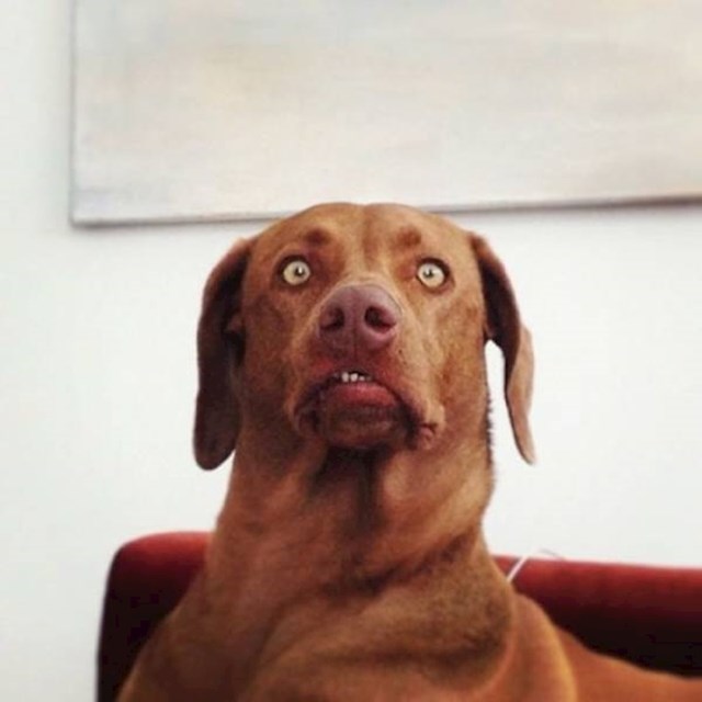 15.